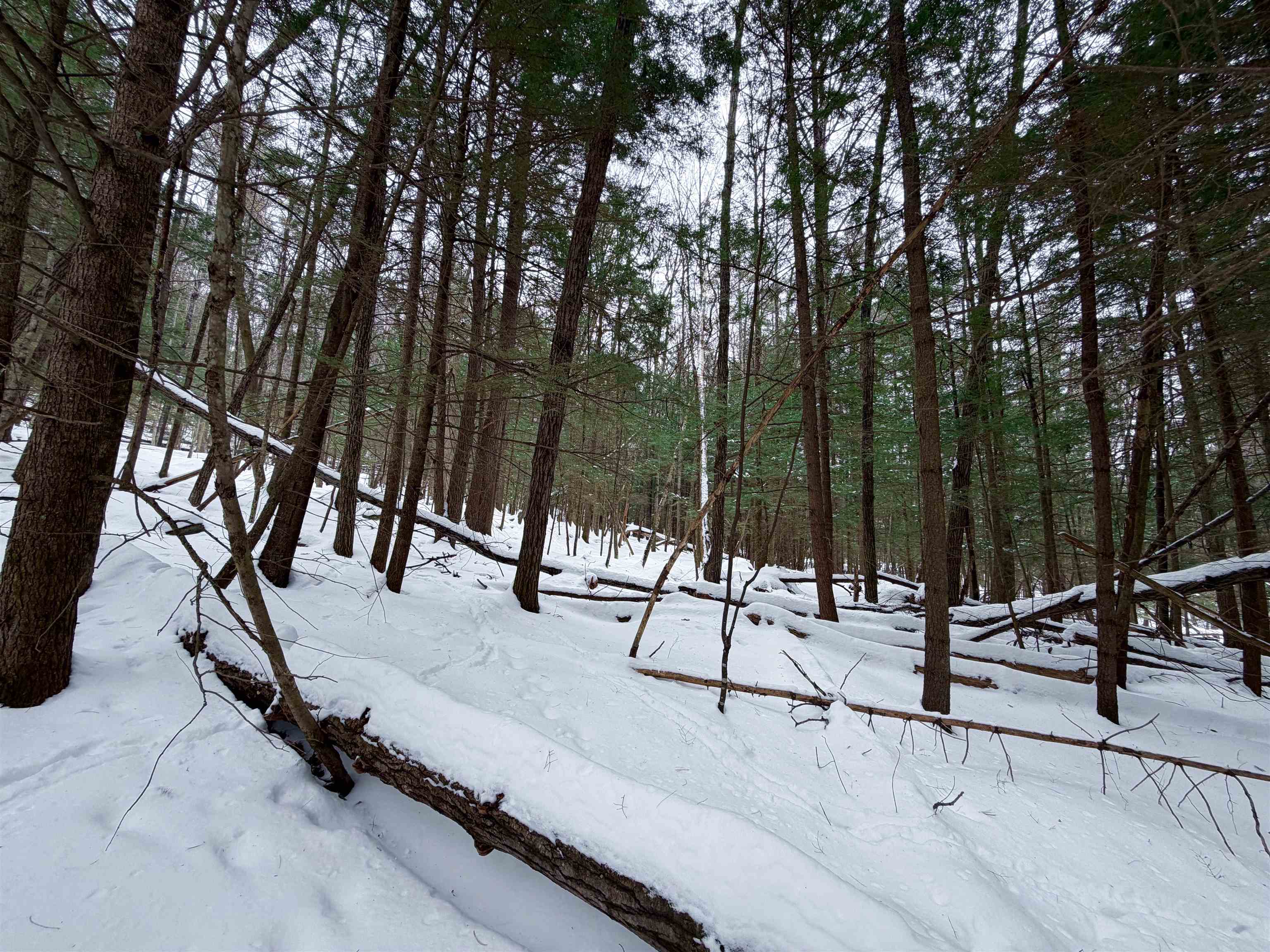 0 Town House Road, Unit 28 Cornish, NH 03745 - Photo 15 of 16