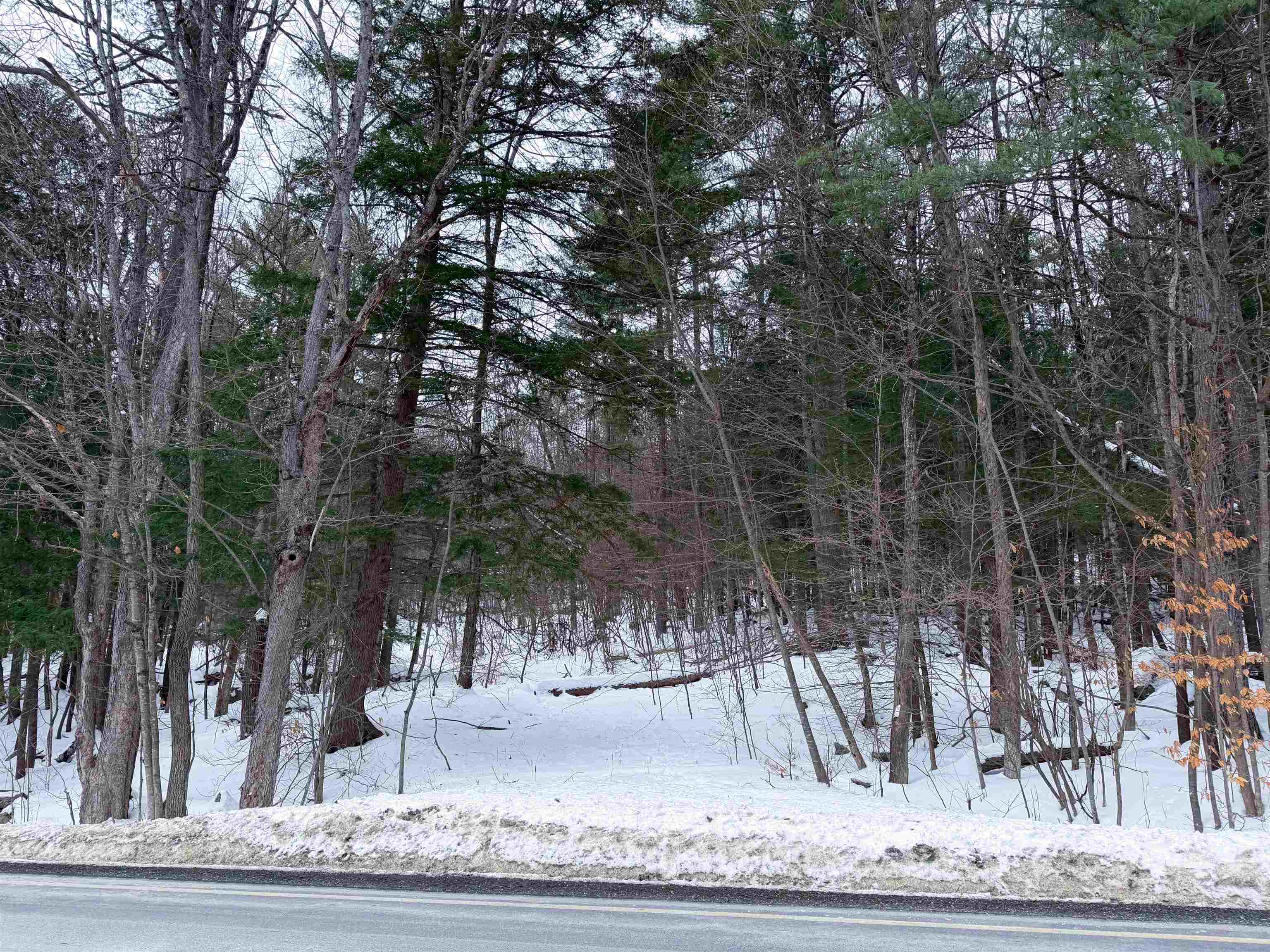 0 Town House Road, Unit 28 Cornish, NH 03745 - Photo 16 of 16