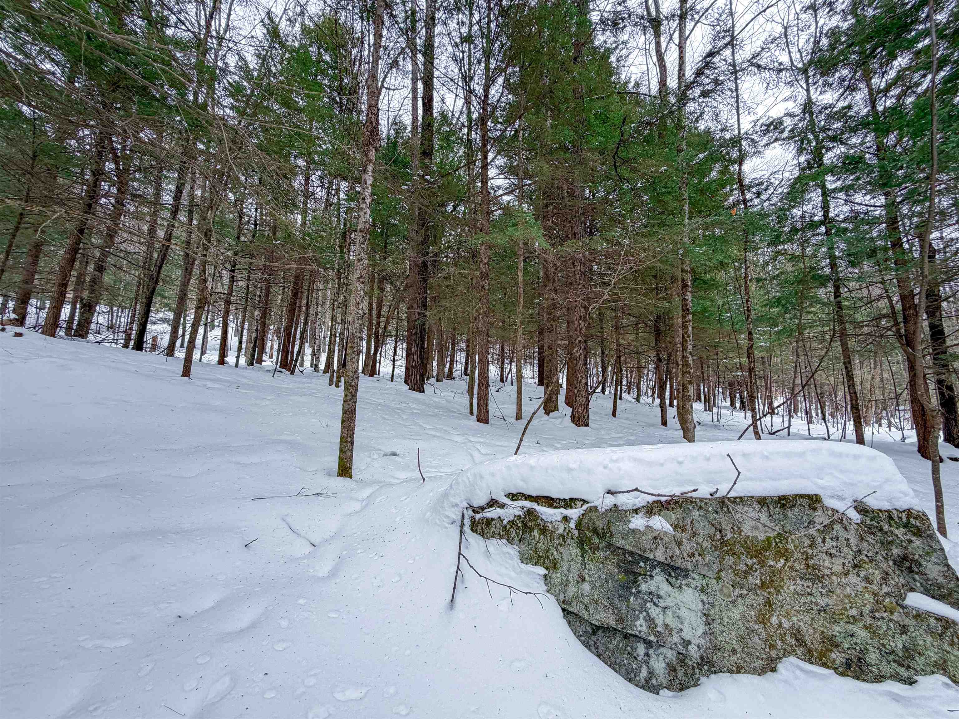 0 Town House Road, Unit 28 Cornish, NH 03745 - Photo 10 of 16