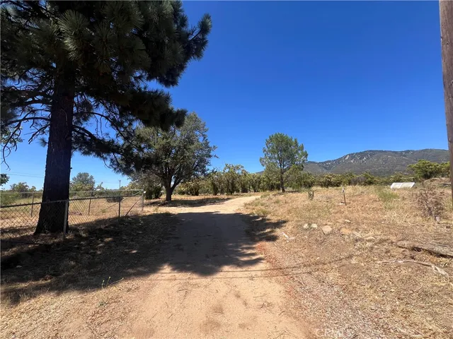 a view of a yard covered with snow on the side of the road