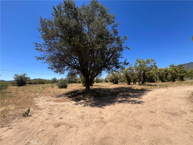 a view of a outdoor space with trees