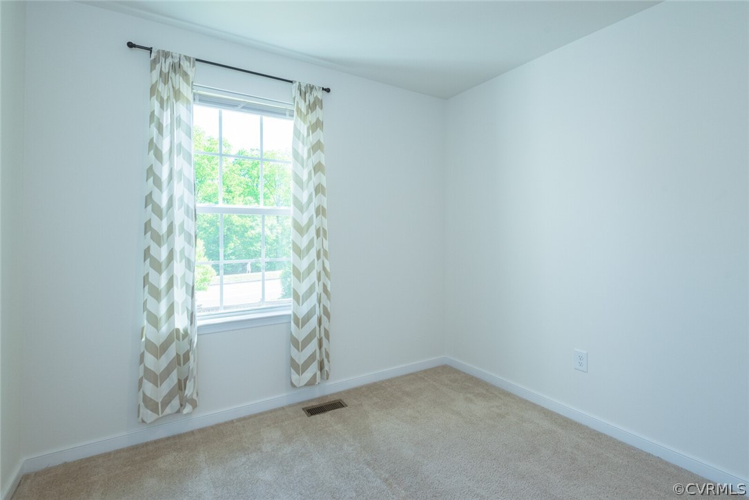 1322 Stone Ridge Park Loop Richmond, VA 23228 - Photo 29 of 33 Gallery Image 29