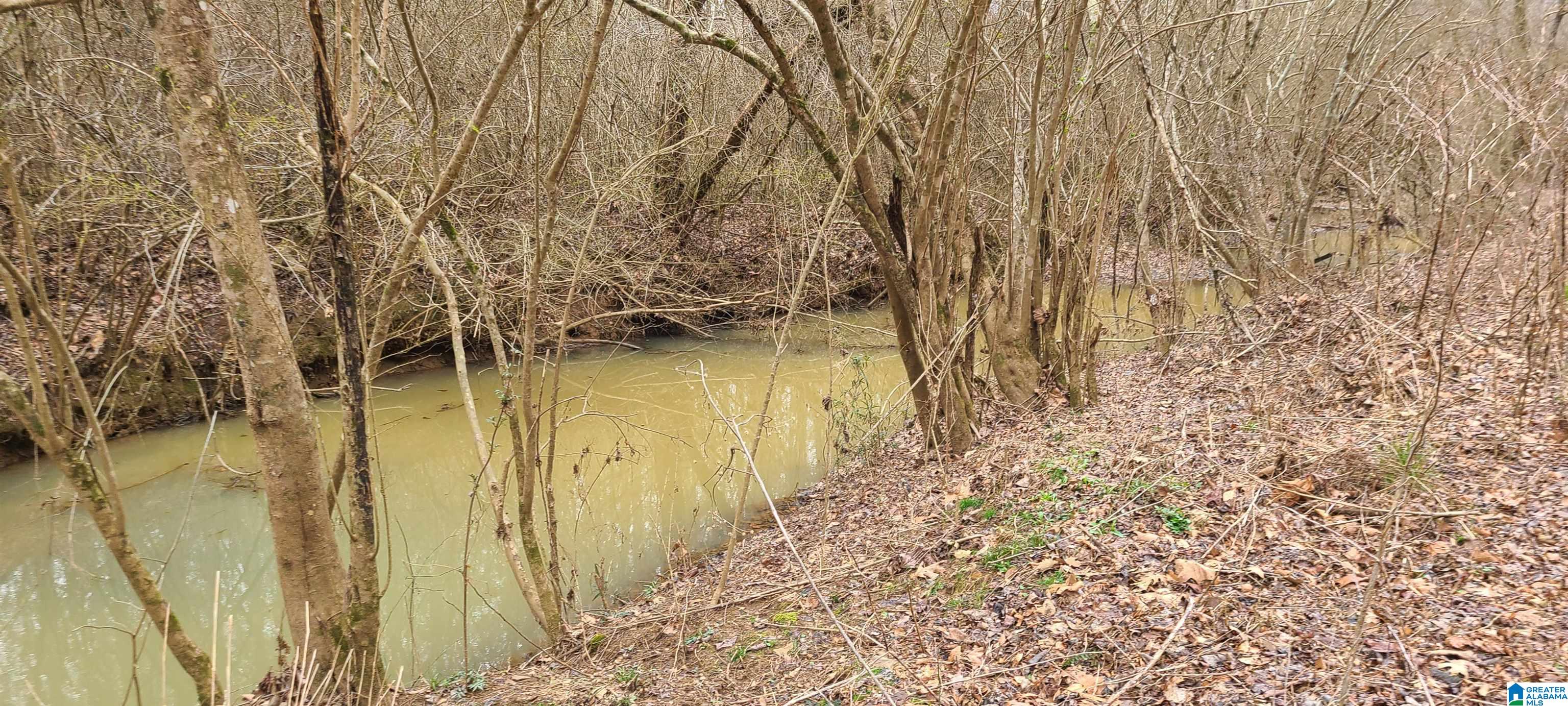 0 Wolf Creek Road Carbon Hill, AL 35549 - Photo 29 of 29