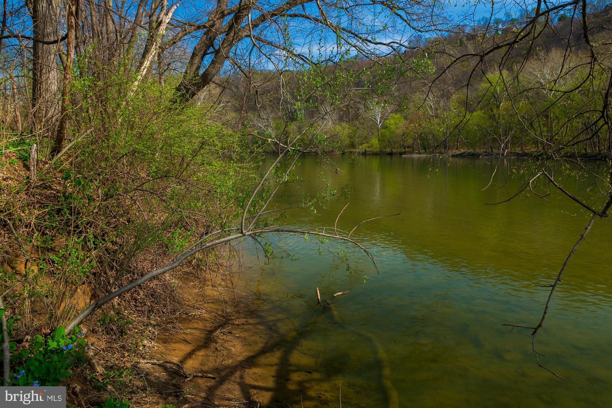 753 Seven Springs Road Charles Town, WV 25414 - Photo 47 of 128 Gallery Image 47