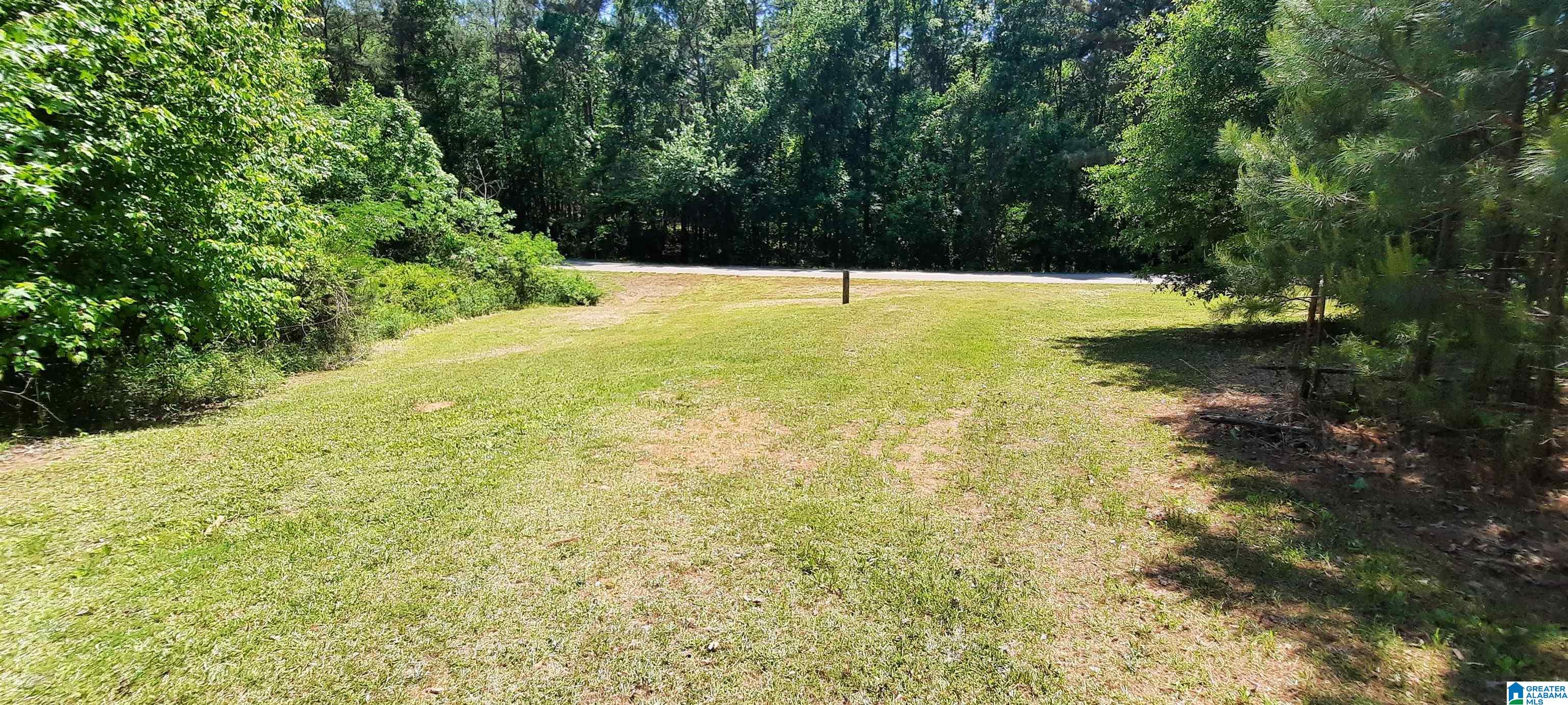 10778 County Road 19 Heflin, AL 36264 - Photo 15 of 41