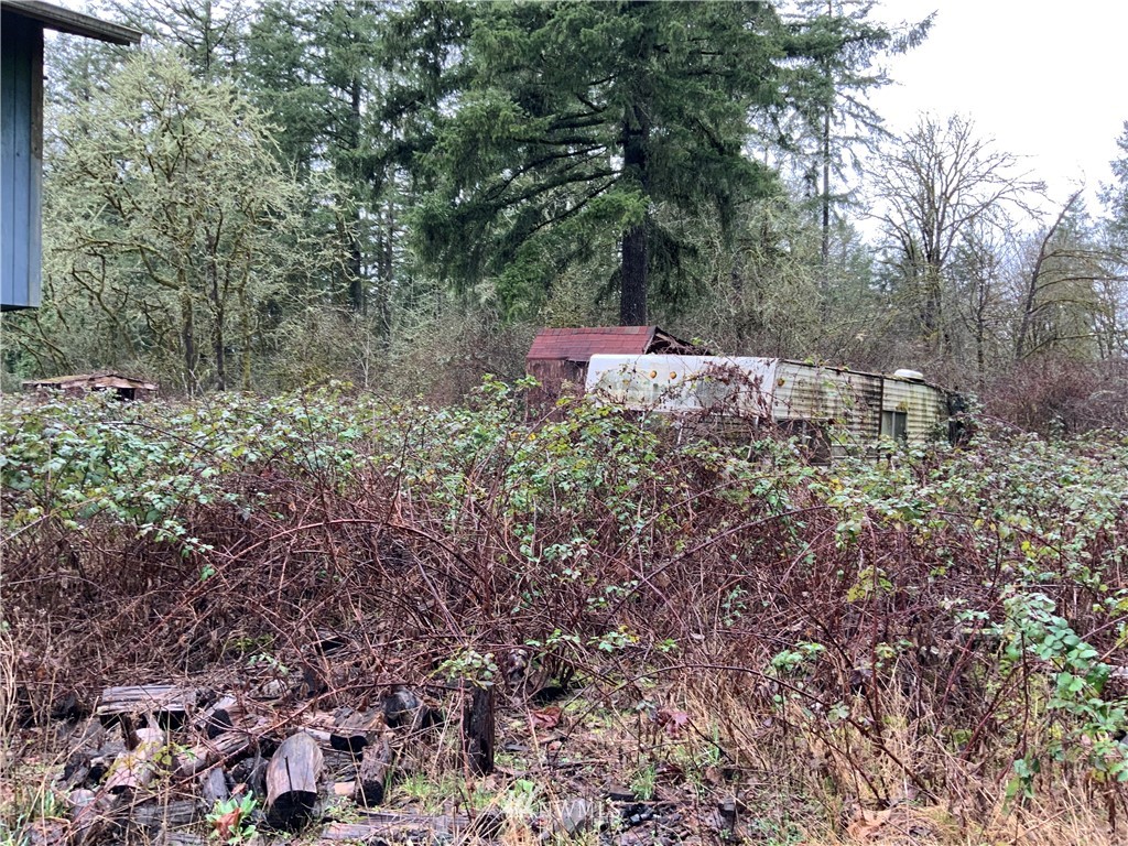 2365 South Bank Road Oakville, WA 98568 - Photo 7 of 9