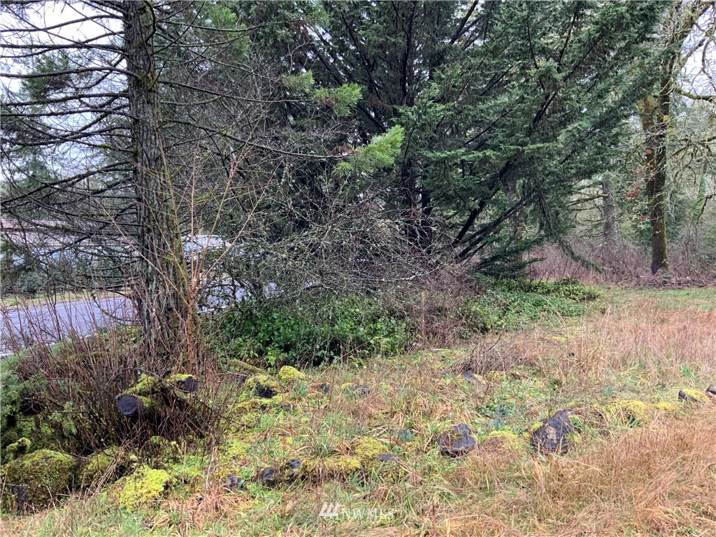 2365 South Bank Road Oakville, WA 98568 - Photo 9 of 9