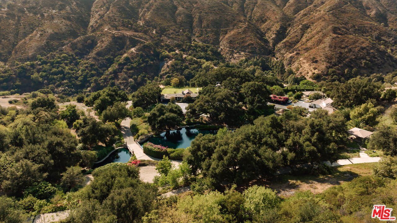 3100 Mandeville Canyon Road Los Angeles, CA 90049 - Photo 21 of 23 a view of a tree