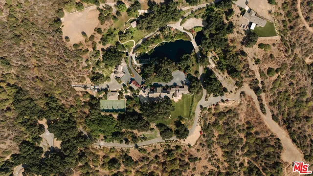 a close up of a plant