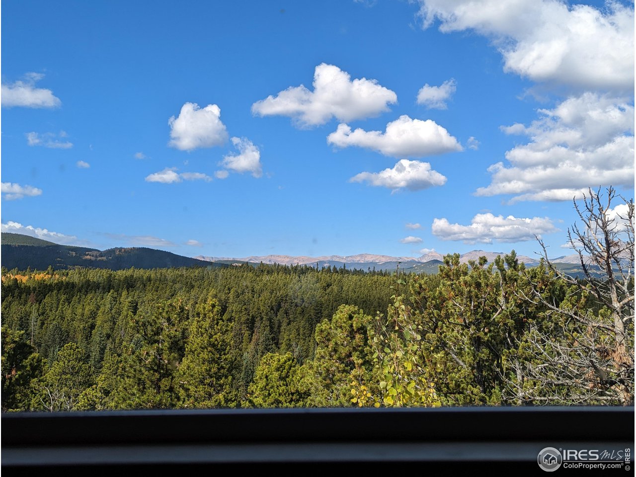105 Jasper Road Black Hawk, CO 80422 - Photo 8 of 28 Gallery Image 8