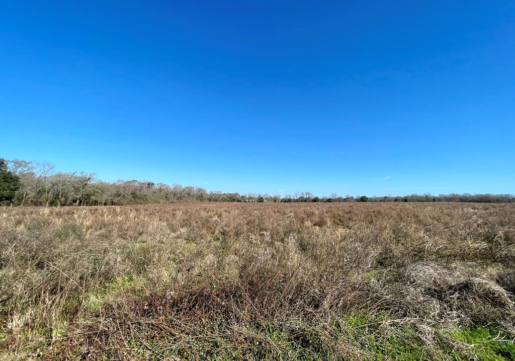 0 Bruner Road Dothan, AL 36301 - Photo 1 of 3