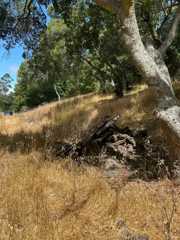 a pathway of a house with a yard and trees