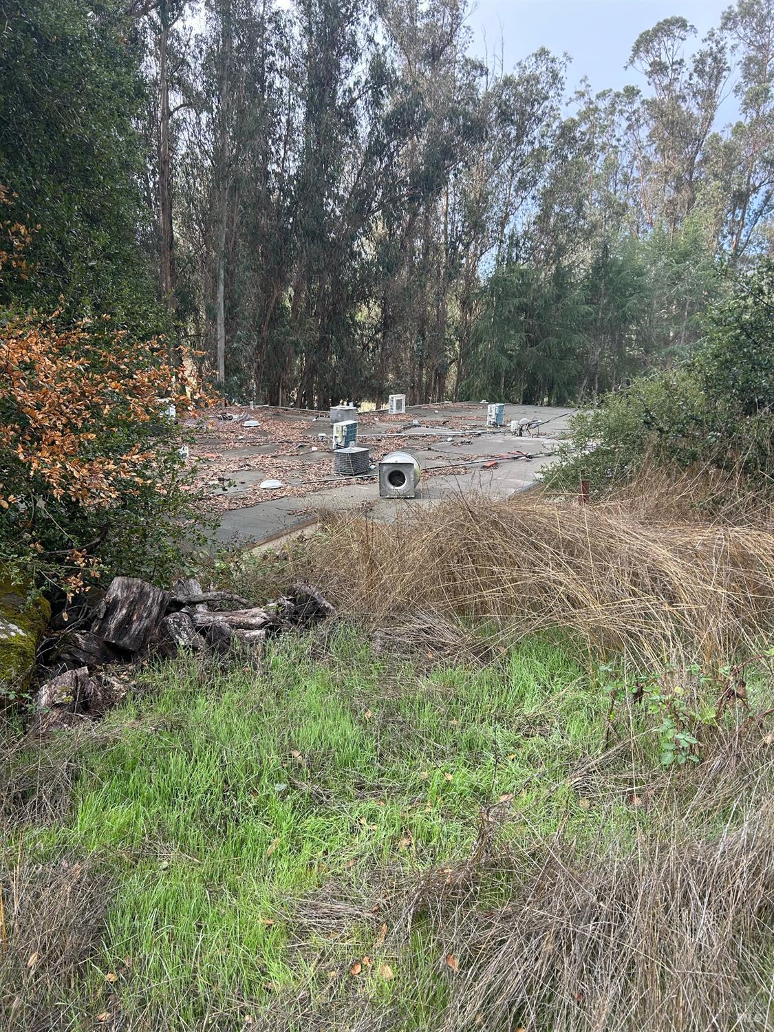 6675 Petersen Road Petaluma, CA 94952 - Photo 22 of 30 a view of outdoor space with trees all around