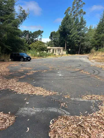 a view of a yard with a tree