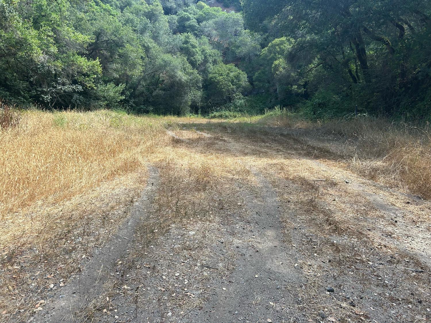 6675 Petersen Road Petaluma, CA 94952 - Photo 6 of 30 a view of a yard with a tree