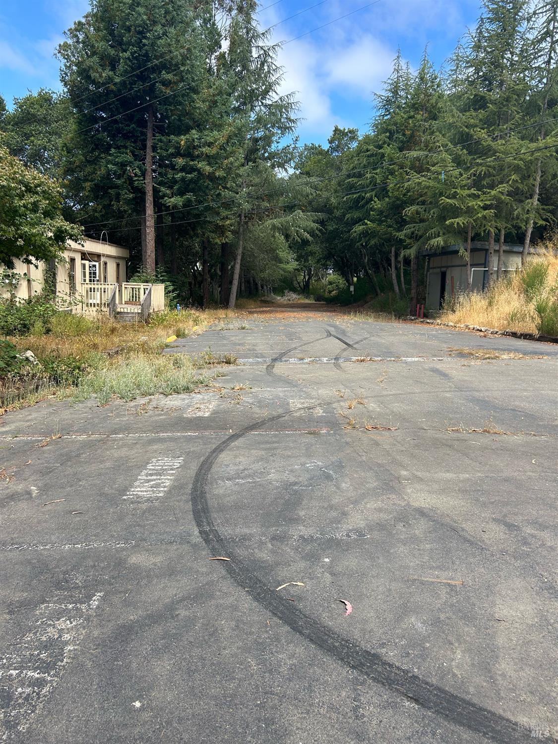 6675 Petersen Road Petaluma, CA 94952 - Photo 7 of 30 a view of swimming pool with a yard