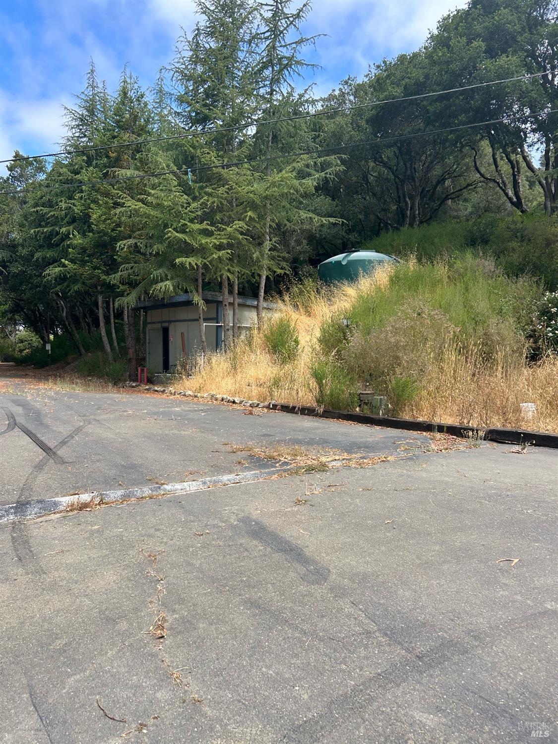 6675 Petersen Road Petaluma, CA 94952 - Photo 10 of 30 a view of swimming pool with a yard