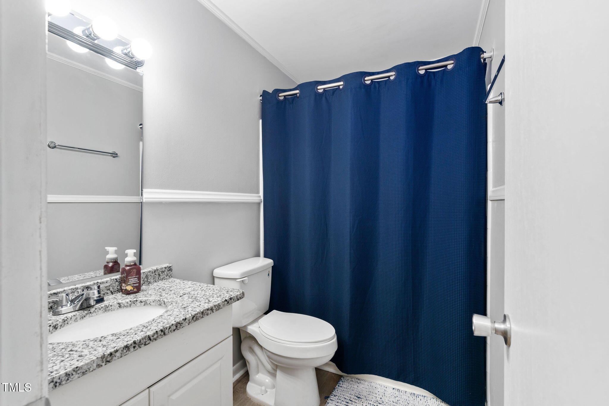131 Biz Road Selma, NC 27576 - Photo 10 of 17 a bathroom with a granite countertop sink toilet and a mirror