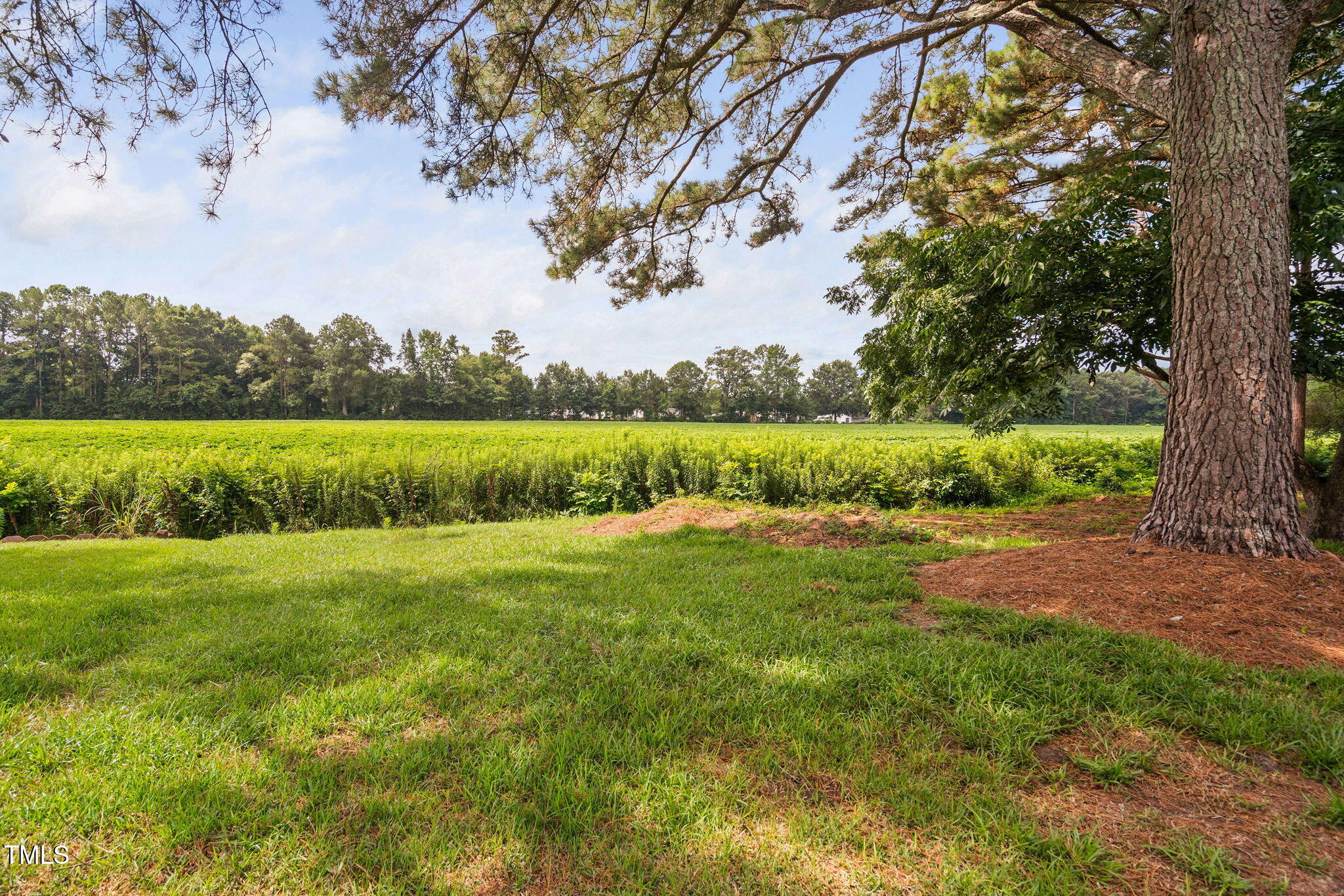 131 Biz Road Selma, NC 27576 - Photo 12 of 17 a view of an outdoor space and a yard