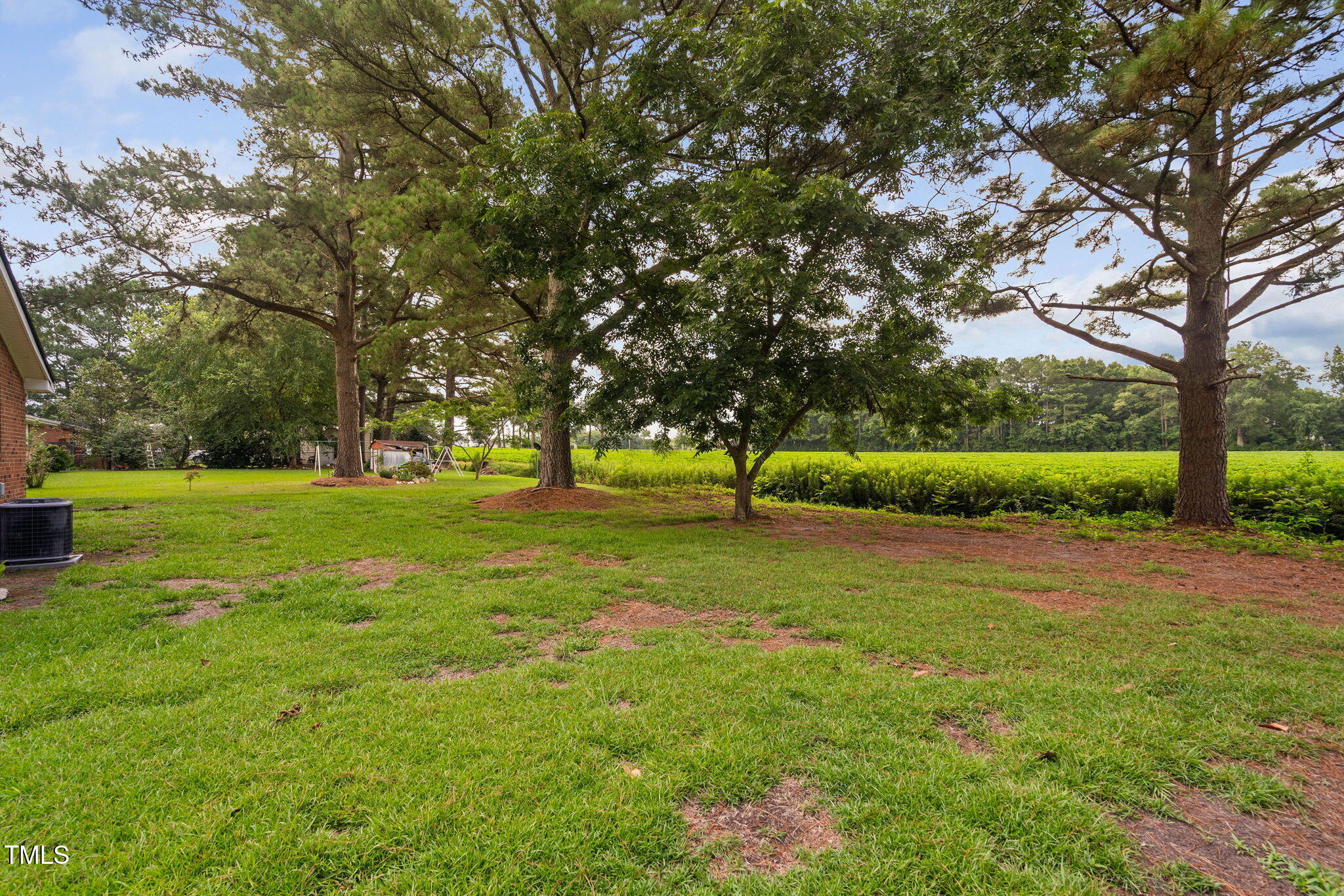 131 Biz Road Selma, NC 27576 - Photo 13 of 17 a view of a park with large trees