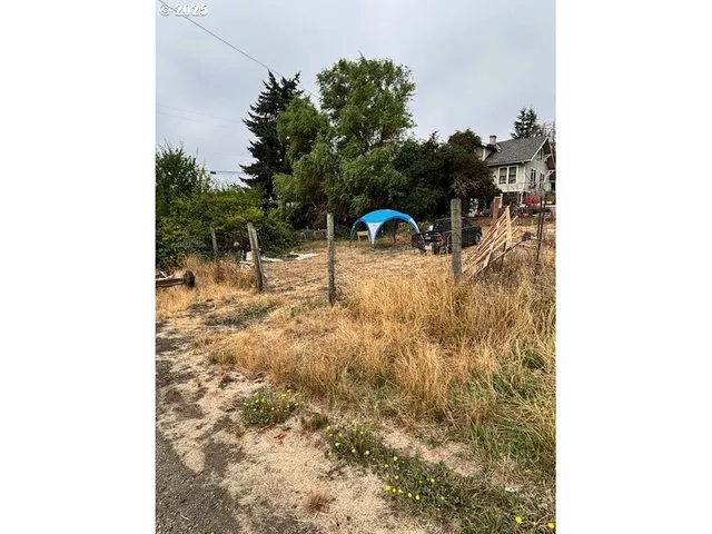 a view of a outdoor space with fountain and a tree