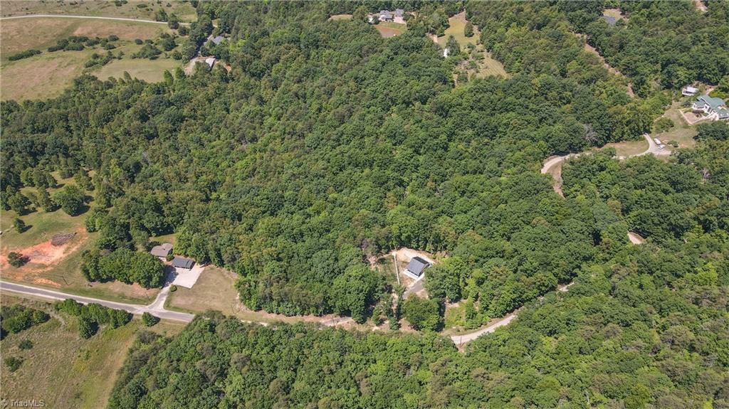1325 Doyle Cromer Road King, NC 27021 - Photo 20 of 38
