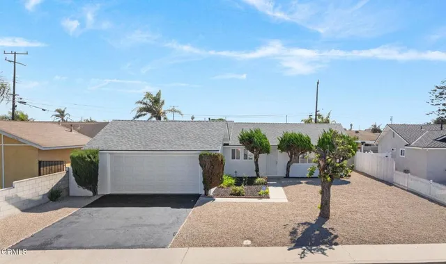 a palm tree sitting in front of a house
