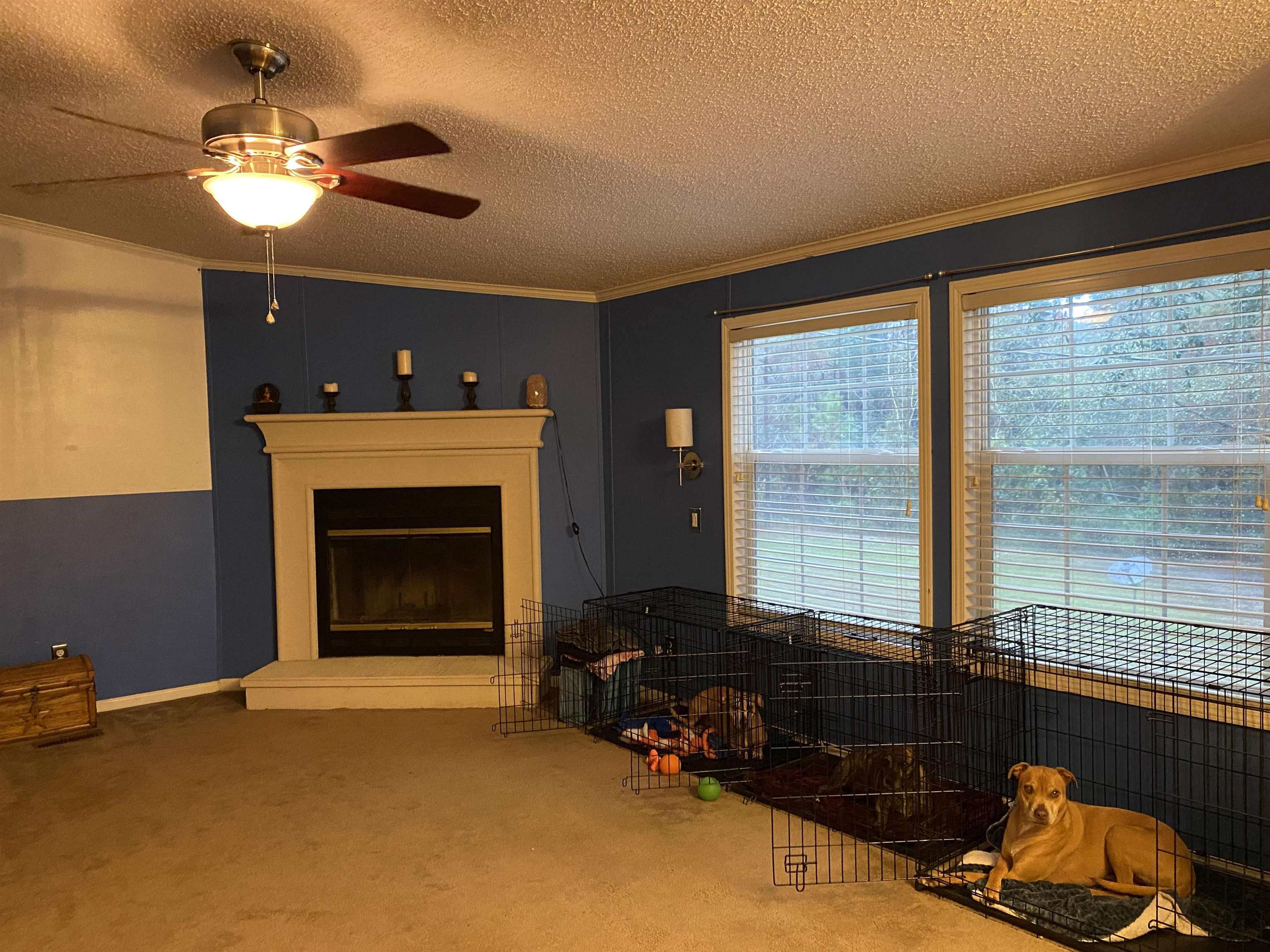 88 Holly Ridge Road Havana, FL 32333 - Photo 12 of 16 Gallery Image 12