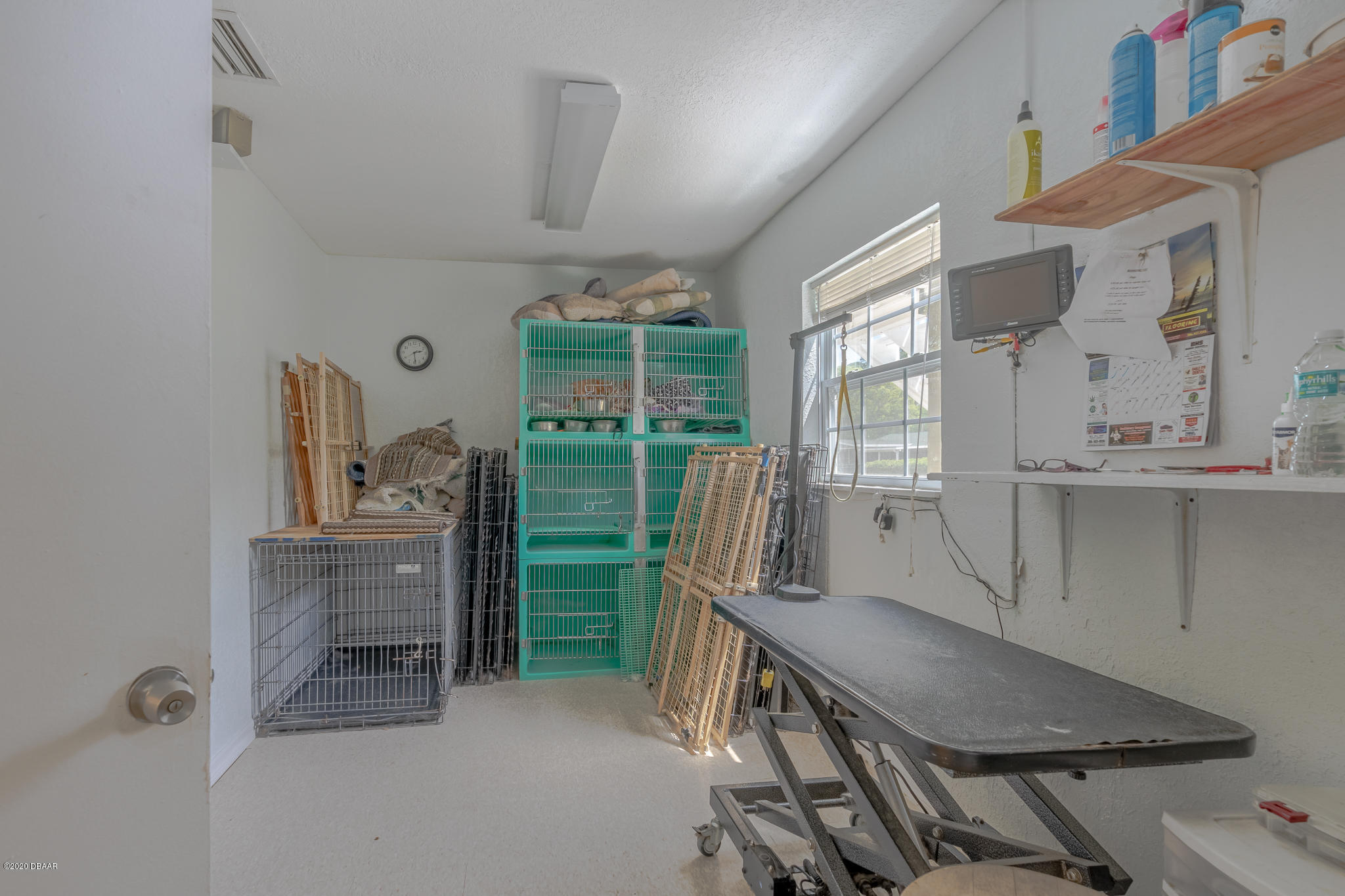 3930 Langford Road Port Orange, FL 32128 - Photo 38 of 58 Kennel