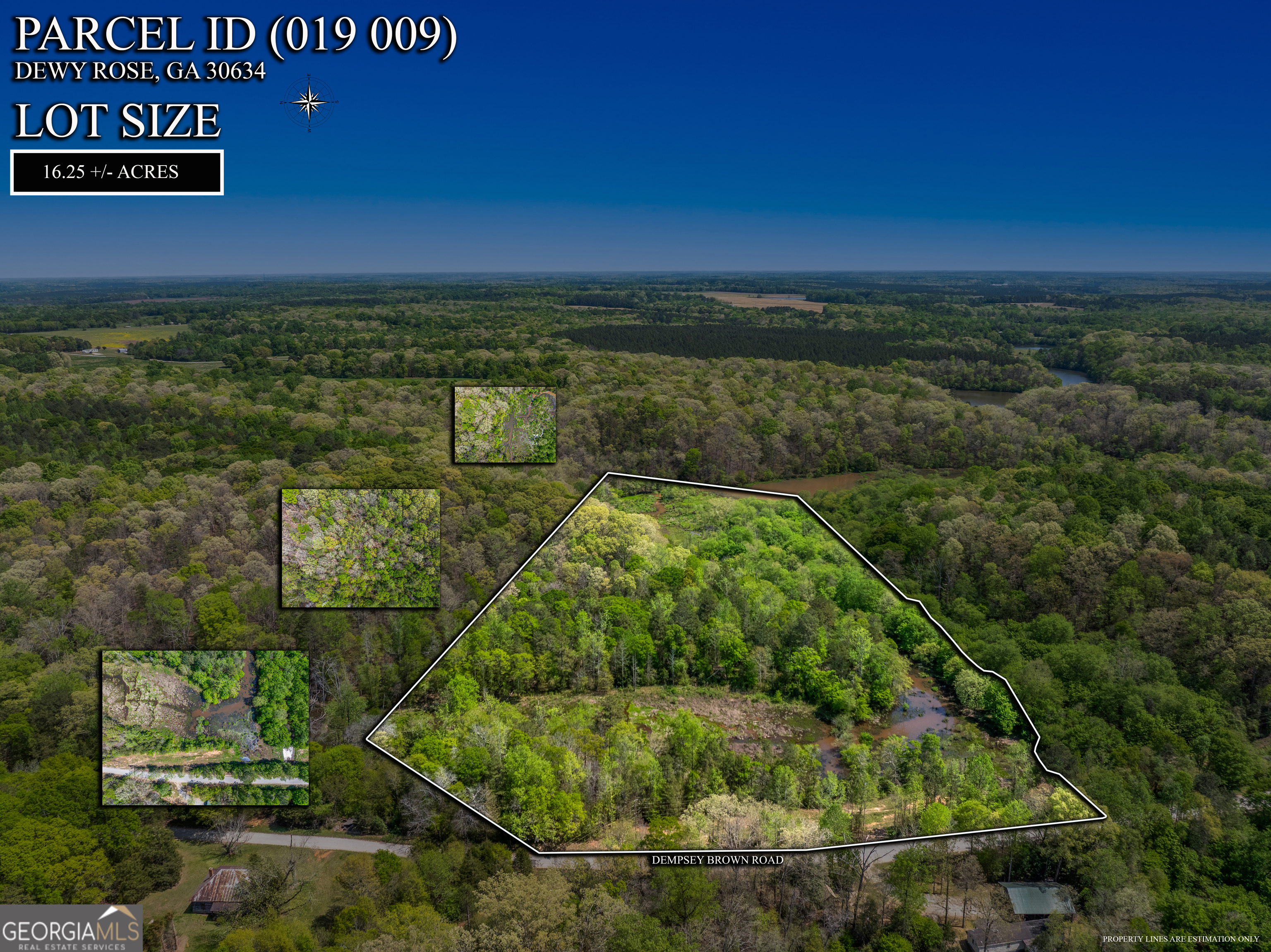 0 Dempsey Brown Road Dewy Rose, GA 30634 - Photo 1 of 16