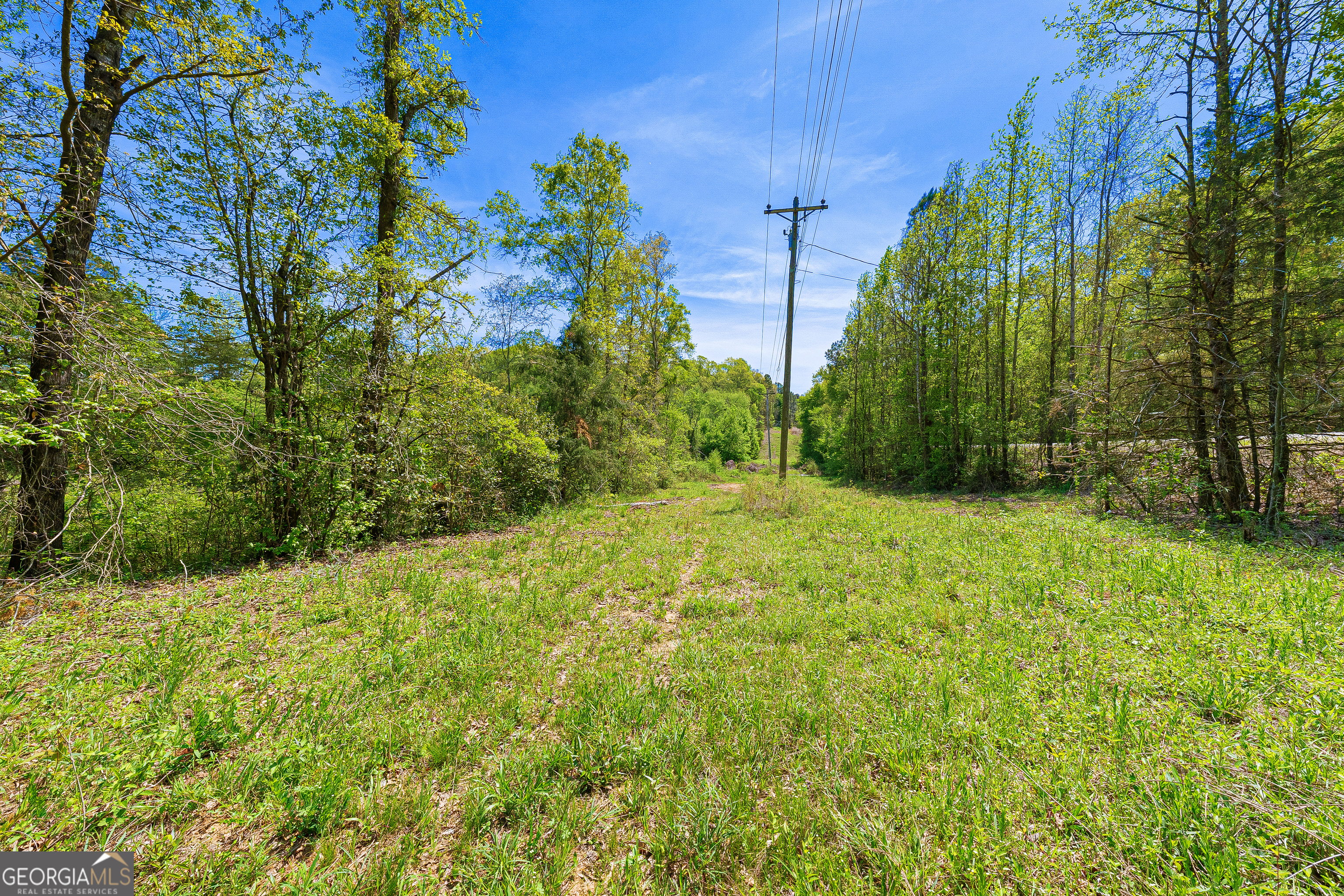 0 Dempsey Brown Road Dewy Rose, GA 30634 - Photo 13 of 16