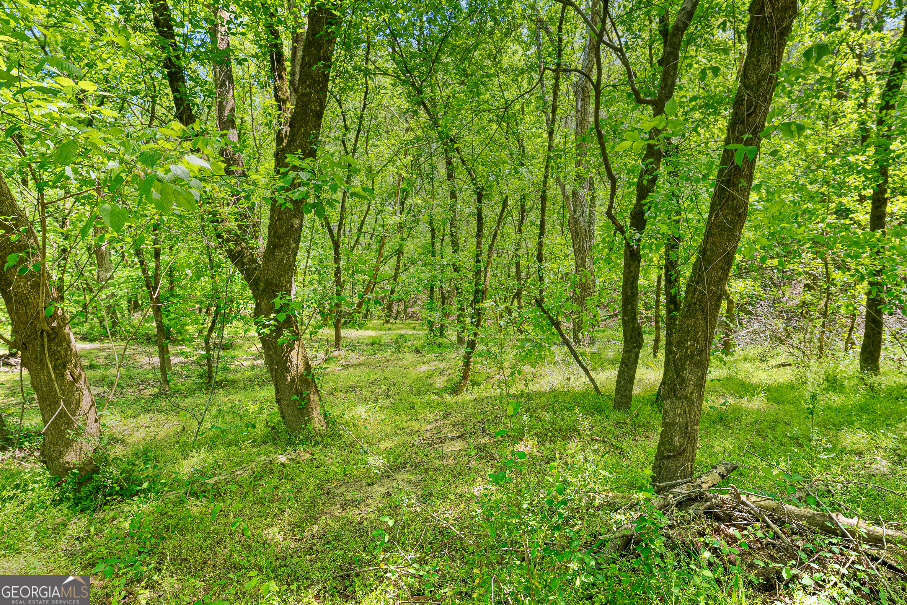 0 Dempsey Brown Road Dewy Rose, GA 30634 - Photo 3 of 16