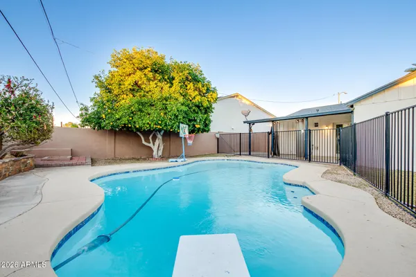 a view of backyard with a tub and trees