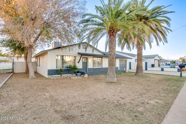 a view of a yard with a house and a large tree