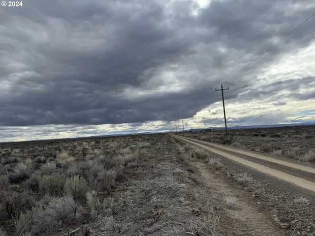 a view of a dry yard