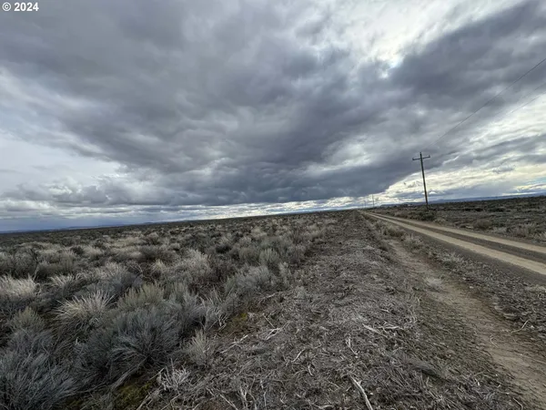 a view of a dry yard with wooden fence