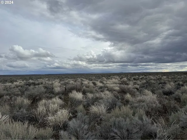 a view of a dry yard with lots of green space