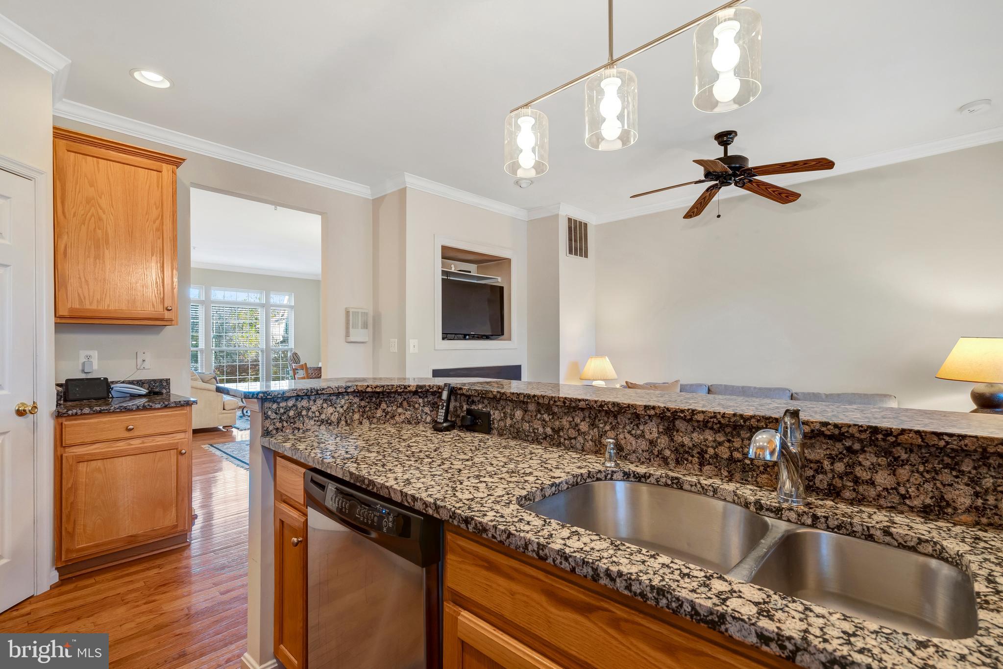 11022 Hemingway Court Silver Spring, MD 20902 - Photo 10 of 32 Granite countertops.
