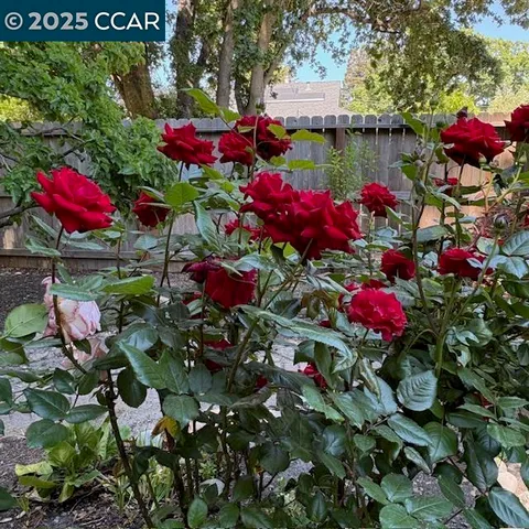 a view of a house with a yard and a garden