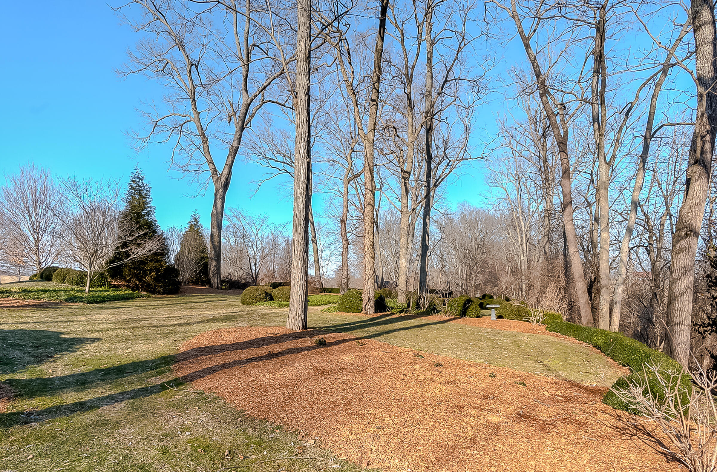 651 Johnston Road Lexington, KY 40511 - Photo 55 of 74 59-3-7