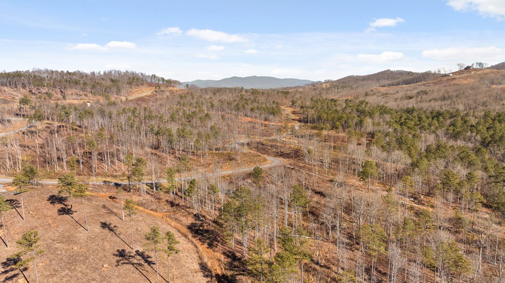 Lot 293 Twisted Oak Road Talking Rock, GA 30175 - Photo 19 of 46 Gallery Image 19