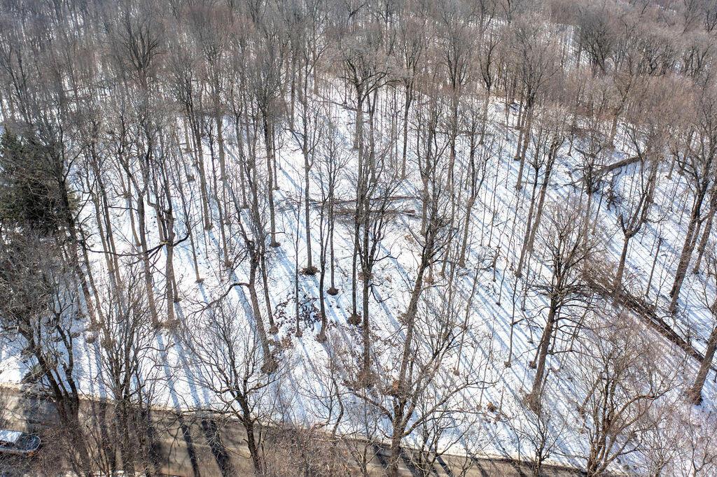 0 Eaglenest Road West Liberty, OH 43357 - Photo 12 of 45