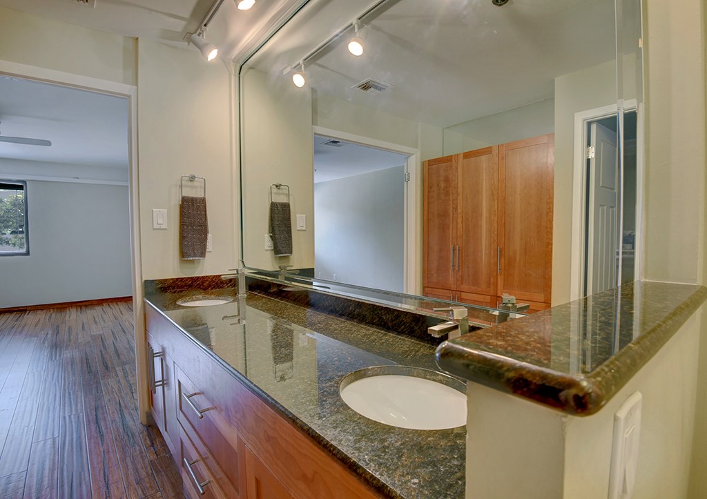 40 North Interstate Highway 35, Unit 2C2 Austin, TX 78701 - Photo 16 of 35 a bathroom with a granite countertop sink and mirror