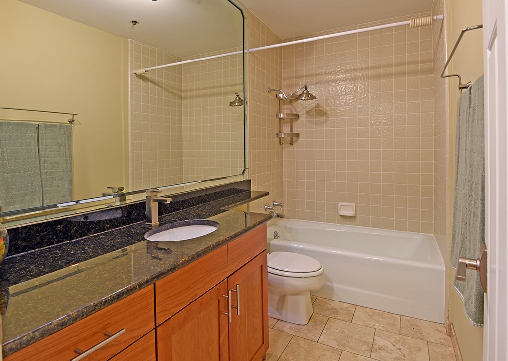 40 North Interstate Highway 35, Unit 2C2 Austin, TX 78701 - Photo 21 of 35 a bathroom with a granite countertop sink a toilet and shower
