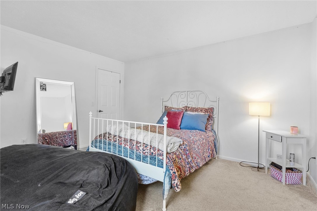 420 Barrington Ridge Road Painesville, OH 44077 - Photo 41 of 48