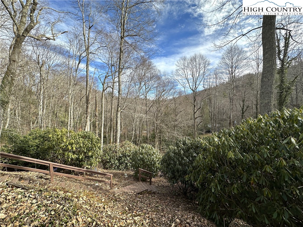 171 Jenny Lane Boone, NC 28607 - Photo 2 of 50 a view of a garden