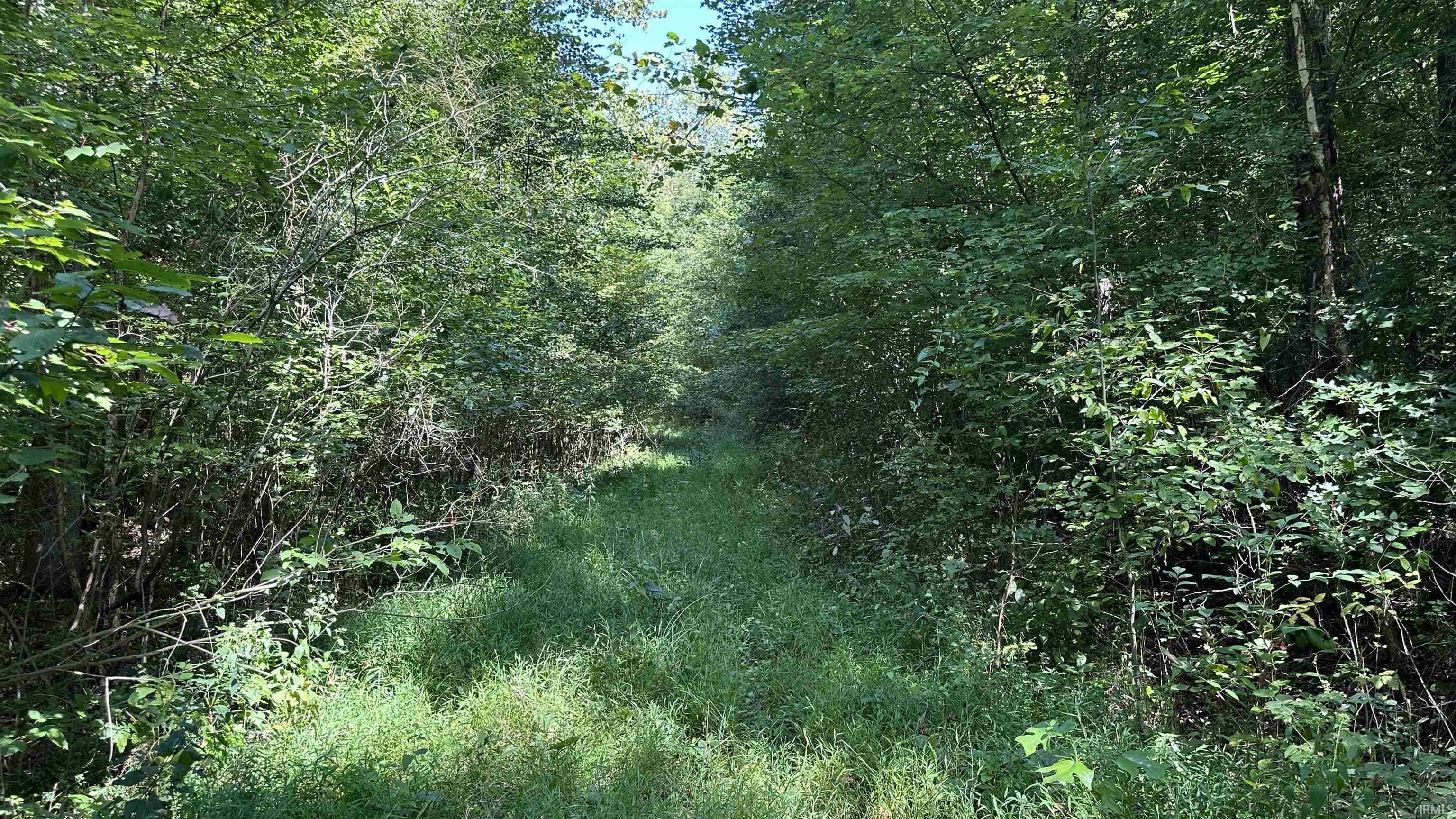 5 Reynolds Road Coal City, IN 47427 - Photo 3 of 10