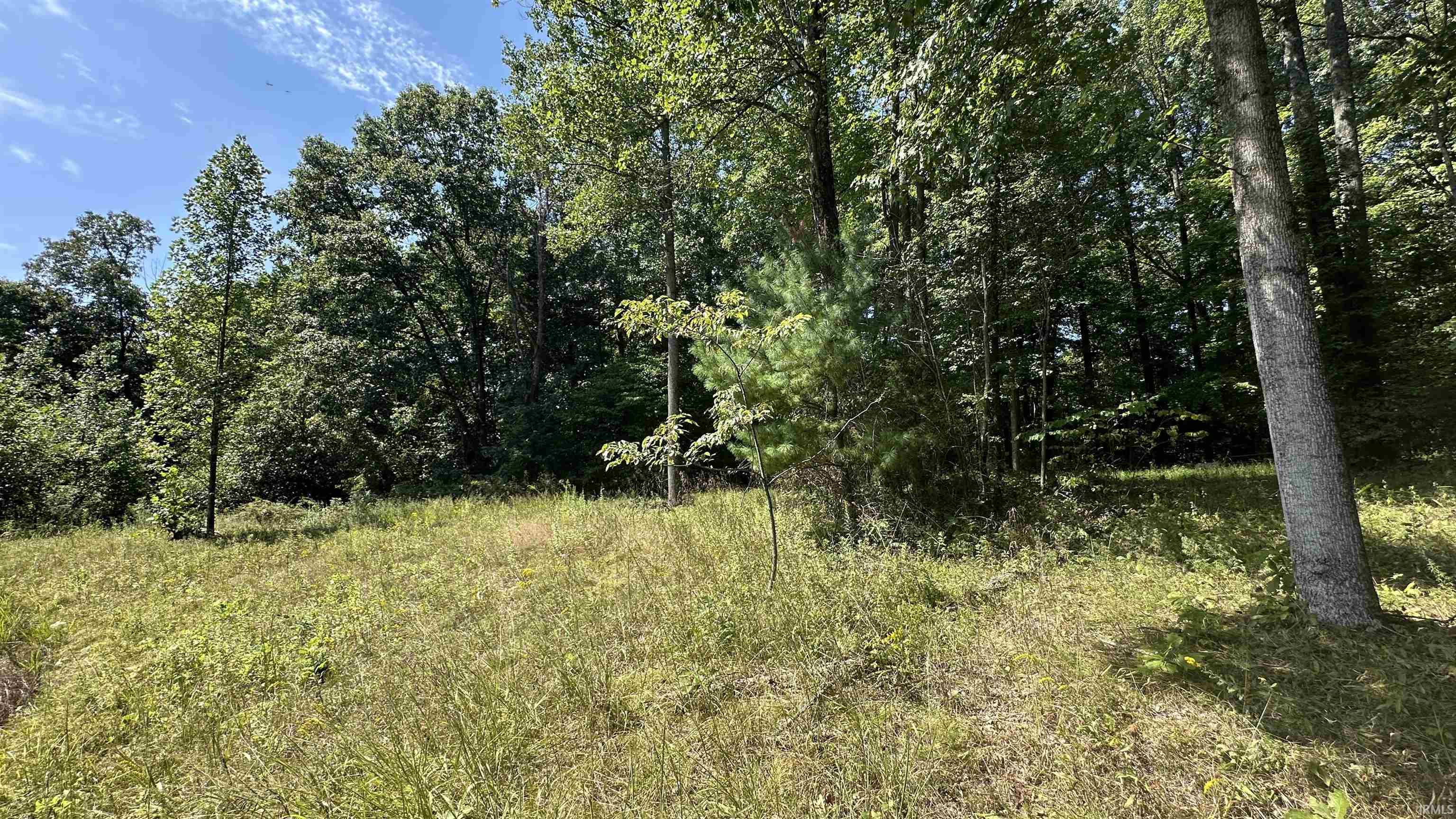 5 Reynolds Road Coal City, IN 47427 - Photo 5 of 10