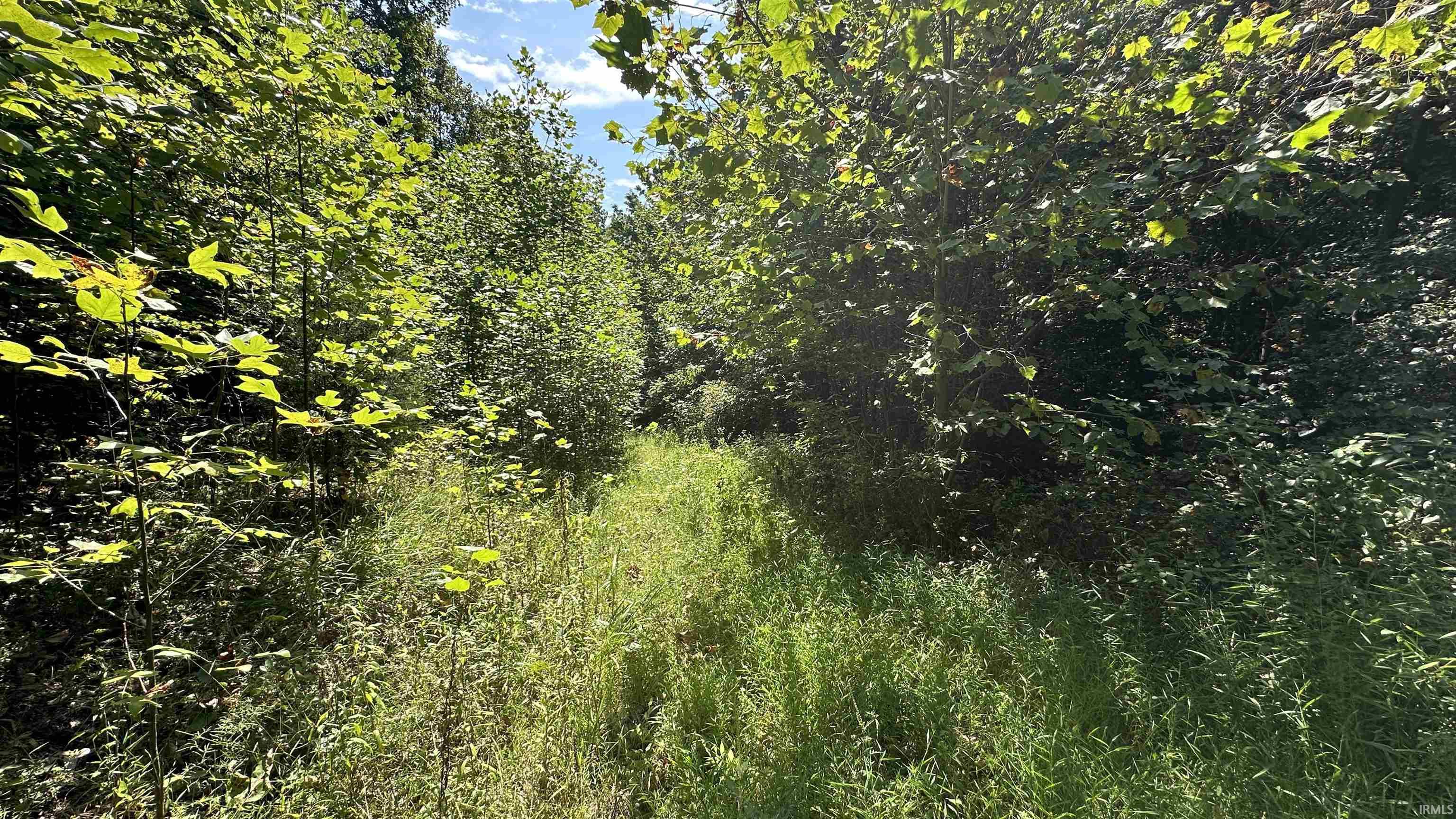 5 Reynolds Road Coal City, IN 47427 - Photo 7 of 10