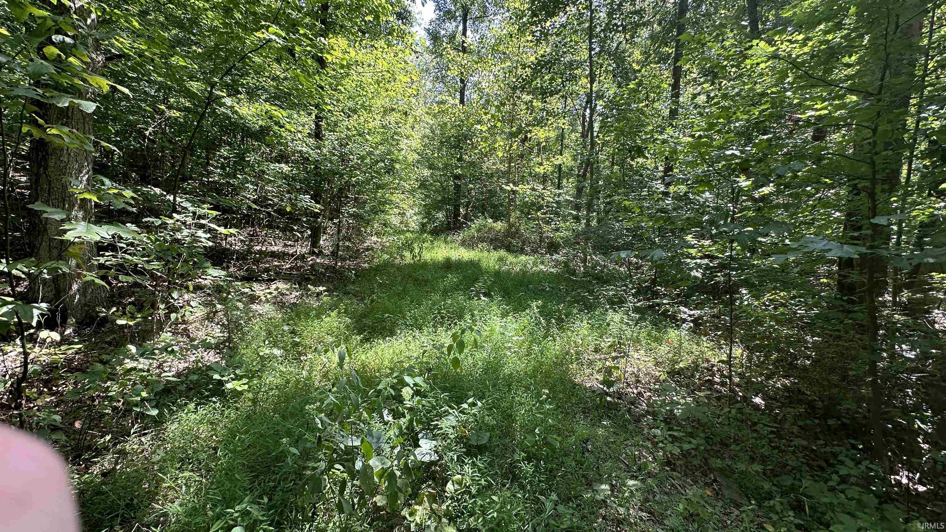 5 Reynolds Road Coal City, IN 47427 - Photo 9 of 10